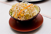 Moyashi Salat
